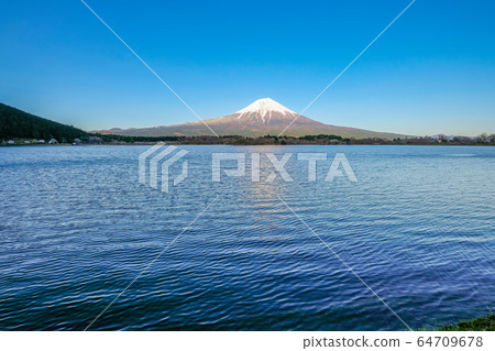 Tanuki湖和富士山 64709678