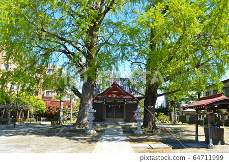 足立區奧野市的奧野神社 足立區奧野市的奧野神社 64711999