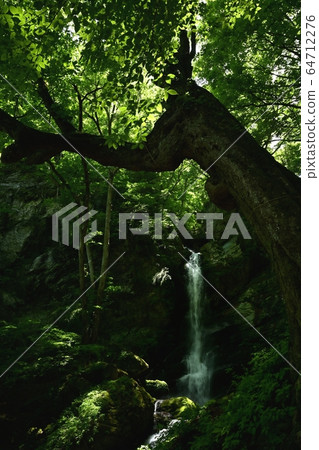 鮮綠色的chi本地區森林保護者小澤富藤瀑布和To木大樹的守護者 64712276