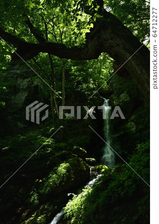 鮮綠色的chi本地區森林保護者小澤富藤瀑布和To木大樹的守護者 64712277
