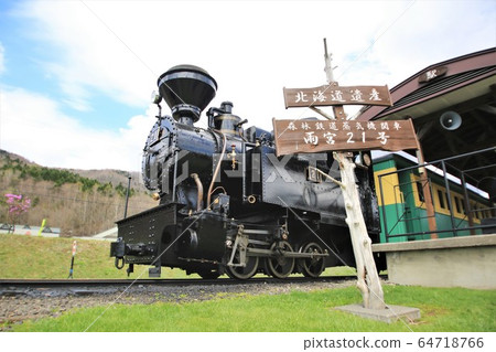 Forest Railway Amemiya No. 21 (Marukofu Forest Park Ikoinomori) 64718766