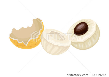 Longan Fruit of Circular Shape Showing Translucent Flesh and Black Seed Inside Vector Illustration Longan Fruit of Circular Shape Showing Translucent Flesh and Black Seed Inside Vector Illustration 64719284