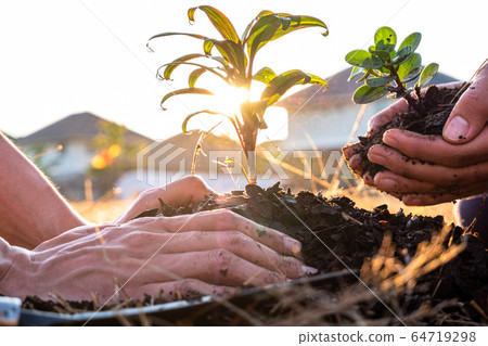 Young men join hands together to plant trees on fertile ground. The concept of protecting nature Young men join hands together to plant trees on fertile ground. The concept of protecting nature 64719298