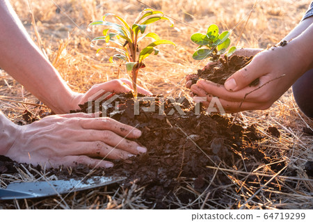 Young men join hands together to plant trees on fertile ground. The concept of protecting nature Young men join hands together to plant trees on fertile ground. The concept of protecting nature 64719299