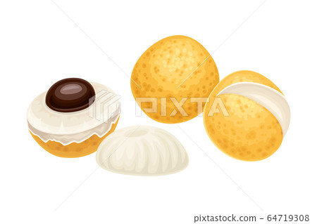 Longan Fruit of Circular Shape Showing Translucent Flesh and Black Seed Inside Vector Illustration Longan Fruit of Circular Shape Showing Translucent Flesh and Black Seed Inside Vector Illustration 64719308