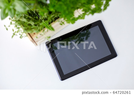 tablet computer with herbs and flowers in box tablet computer with herbs and flowers in box 64720261