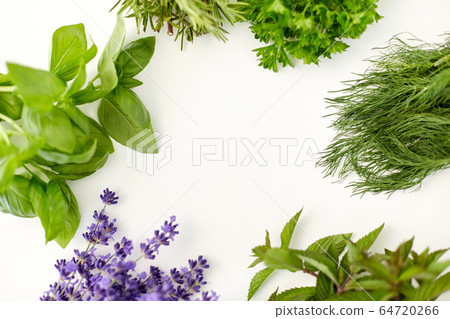 greens, spices or medicinal herbs on white 64720266