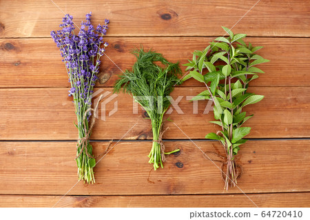 lavender, dill and peppermint on wooden background lavender, dill and peppermint on wooden background 64720410