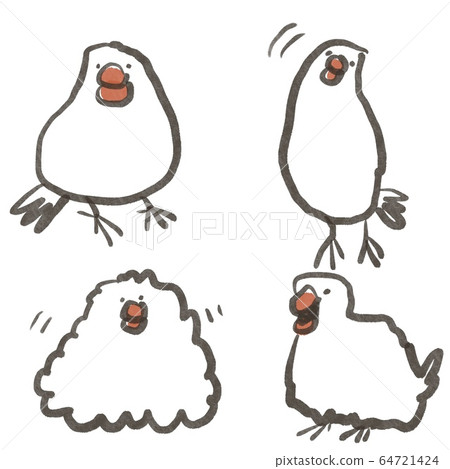 白門鳥分類2 64721424