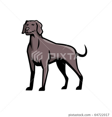 Weimaraner Dog Breed Mascot Weimaraner Dog Breed Mascot 64722017