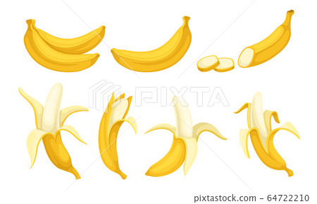 Yellow Banana Fruit Whole and Chopped with Peel and Without Vector Set 64722210
