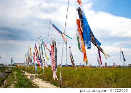 Carp streamers and rape blossoms Carp streamers and rape blossoms 64722935