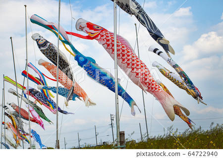 Carp streamers and rape blossoms Carp streamers and rape blossoms 64722940