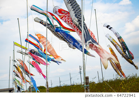 Carp streamers and rape blossoms 64722941