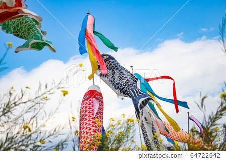 Carp streamers and rape blossoms Carp streamers and rape blossoms 64722942