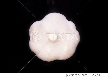 大蒜 大蒜 64724159