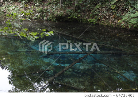 [北海道]上之湖池塘|夏天東部的阿寒湖瑪舒國家公園美麗的鈷藍色池塘 64725405