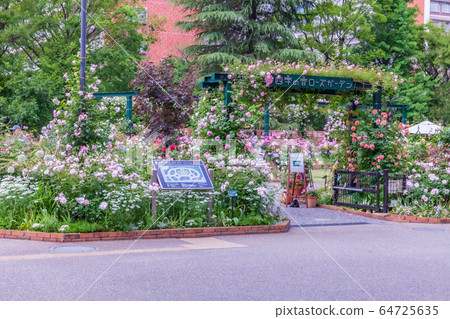 東京高岡岡公園玫瑰園 東京高岡岡公園玫瑰園 64725635