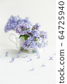 Lilac fresh flowers on the white background. Spring concept 64725940