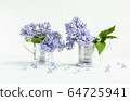 Lilac fresh flowers on the white background. Spring concept 64725941