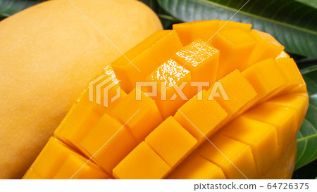 Mango leaves green background mango leaves background マ ン ゴ マ ン ゴ ー Mango leaves green background mango leaves background マ ン ゴ マ ン ゴ ー 64726375