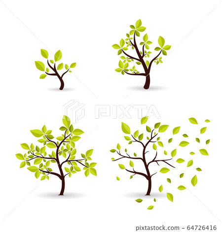 Botany concept cyclic growth of the tree. Botany concept cyclic growth of the tree. 64726416
