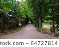 Okinawa Prefecture Bise Fukugi lined tree 64727814