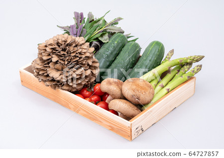 加賀蔬菜，濃黃瓜，舞茸，中等番茄，金草 64727857