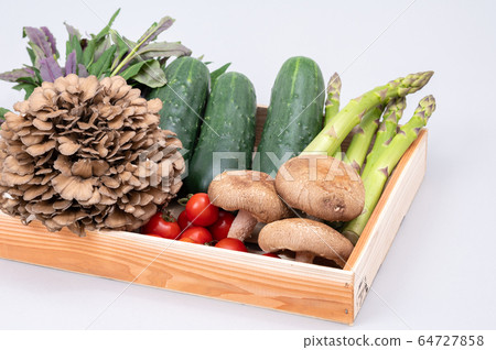 加賀蔬菜，濃黃瓜，舞茸，中等番茄，金草 64727858