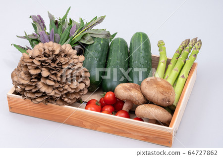 Kaga vegetables, thick cucumber, maitake, medium tomato, Kintokusa 64727862