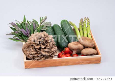 Kaga vegetables, thick cucumber, maitake, medium tomato, Kintokusa 64727863