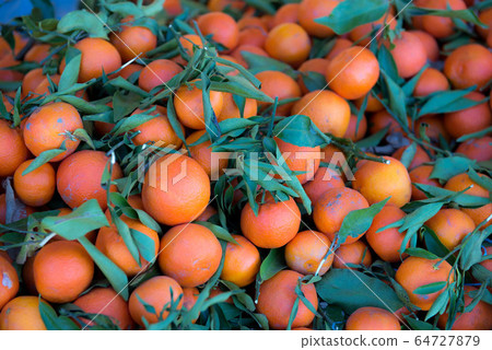 Morocco roadside scenery Morocco roadside scenery 64727879