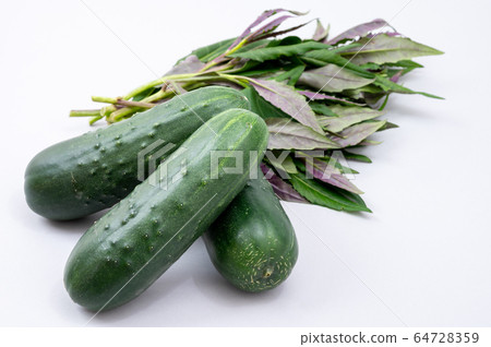 加賀蔬菜濃黃瓜金草蔬菜 加賀蔬菜濃黃瓜金草蔬菜 64728359