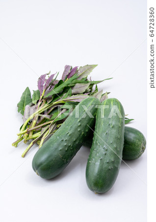 加賀蔬菜濃黃瓜金草蔬菜 64728360