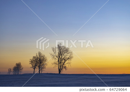 Sunrise near Hight Tatras in winter time, Slovakia 64729064