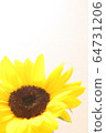sunflower	 64731206