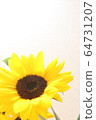 sunflower	 64731207