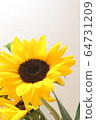 sunflower	 64731209