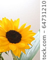 sunflower	 64731210