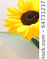 sunflower	 64731237