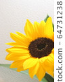 sunflower	 64731238