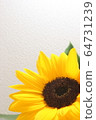 sunflower	 64731239