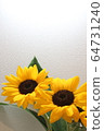sunflower	 64731240