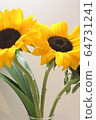 sunflower	 64731241