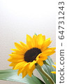sunflower	 64731243