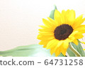 sunflower	 64731258