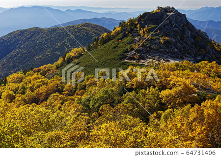 從南阿爾卑斯山，鳳凰山，藥師岳中看到的向日葵和Sun淵山的黃葉 64731406