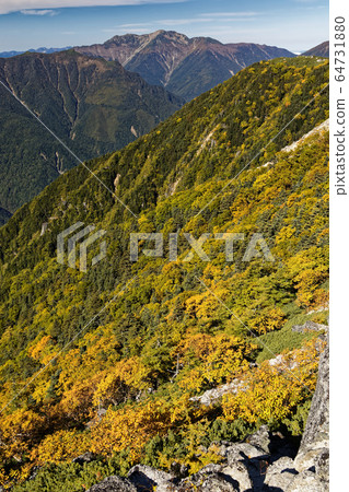 View of the yellow leaves of Senkiga and the yellow leaves of Betula birch on the Southern Alps, Fenghuangsansan, and Kannon 64731880