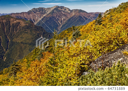 Senkiga的黃葉和樺木樺的黃葉在南阿爾卑斯山，鳳凰山和Kannon上的視圖 64731889