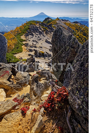 從紅鳳凰山山和觀音岳的枝葉上看到的藥師岳和富士山 64732178